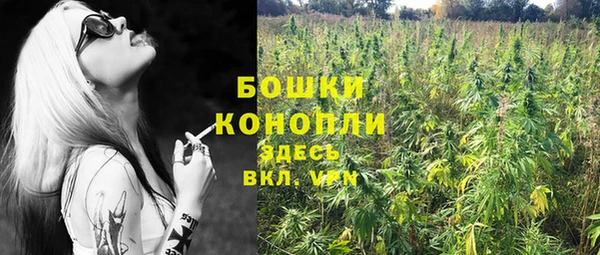 сатива Инта
