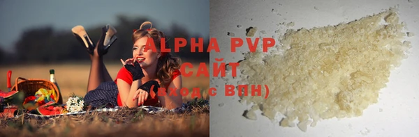 сатива Инта