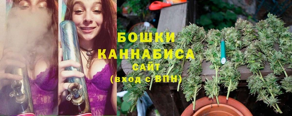 сатива Инта