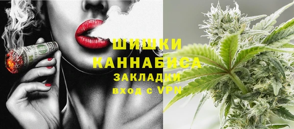 сатива Инта