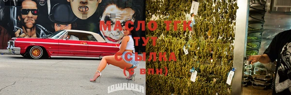 сатива Инта